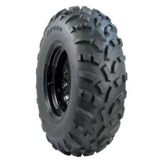 Pneu Carlstar AT489
